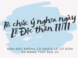 Những lời chúc ý nghĩa Ngày lễ Độc thân 11/11.