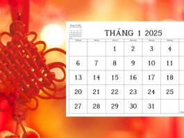 Lịch ngày Tết dương lịch 2025