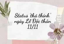 Status 'thả thính' hài hước cho ngày Lễ Độc thân 11/11.