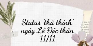 Status 'thả thính' hài hước cho ngày Lễ Độc thân 11/11.