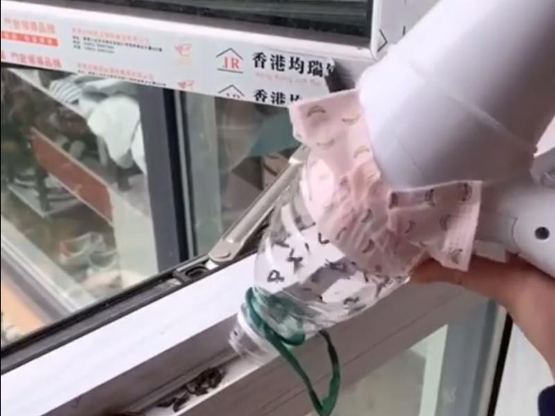 Hút sạch bụi bẩn với máy sấy tóc