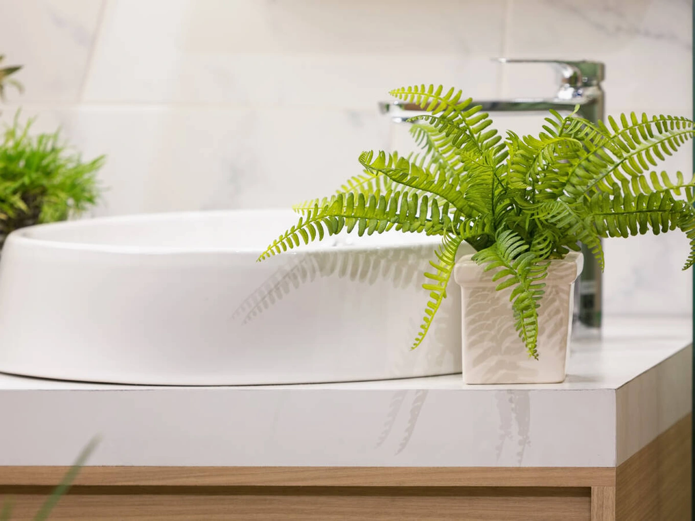 Dương xỉ thích hợp với không gian ẩm ướt.