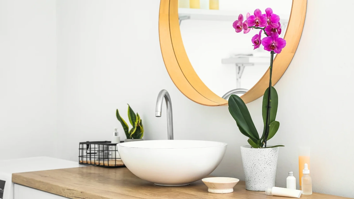 Hoa lan biến phòng tắm thành không gian sang trọng và đẳng cấp.