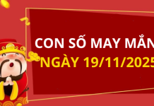 Con số may mắn hôm nay 19/11/2025 theo tuổi: Chọn số cát giúp bạn đổi vận