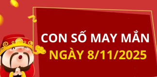 Con số may mắn hôm nay 8/11/2025 theo tuổi: Chọn số đón lộc lớn