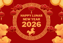 Đếm ngược Tết 2026: Còn bao nhiêu ngày nữa đến Tết 2026?