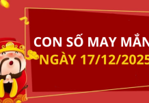 Con số may mắn hôm nay 17/12/2025 theo tuổi: Số cát giúp bạn đổi vận