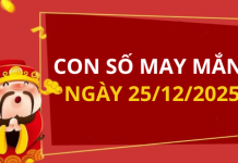 Con số may mắn hôm nay 25/12/2025 theo tuổi: Xem số phát lộc