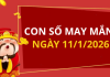 Con số may mắn hôm nay 11/1/2026 theo từng tuổi: Số may đón lộc vào nhà