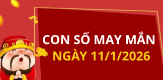 Con số may mắn hôm nay 11/1/2026 theo từng tuổi: Số may đón lộc vào nhà