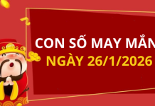 Con số may mắn hôm nay 26/1/2026 theo từng tuổi: Chọn đúng số phát tài