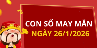 Con số may mắn hôm nay 26/1/2026 theo từng tuổi: Chọn đúng số phát tài