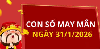 Con số may mắn hôm nay 31/1/2026 theo từng tuổi: Xem số hay có lộc ngay