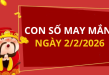 Con số may mắn hôm nay 2/2/2026 theo từng tuổi: Xem số hay có lộc ngay