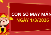 Con số may mắn hôm nay 1/3/2026 theo từng tuổi: Số may đón lộc vào nhà