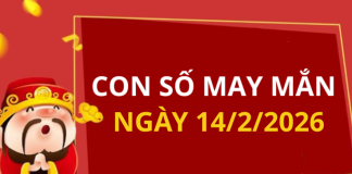 Con số may mắn hôm nay 14/2/2026 theo từng tuổi: Số may đón lộc