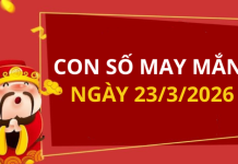 Con số may mắn hôm nay 23/3/2026 theo từng tuổi: Số phát lộc cho bạn đổi vận