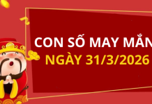 Con số may mắn hôm nay 31/3/2026 theo từng tuổi: Chọn số cát giúp bạn đổi vận