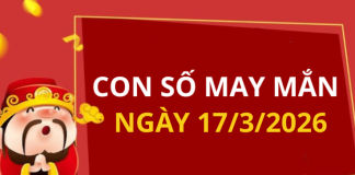 Con số may mắn hôm nay 17/3/2026 theo từng tuổi: Số phát lộc cho bạn đổi vận