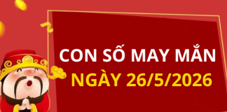 Con số may mắn hôm nay 26/5/2026 theo từng tuổi: Số phát lộc cho bạn đổi vận