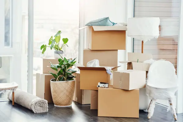 Dọn dẹp tổng thể và lọc bỏ đồ cũ khởi động năng lượng cửa hàng