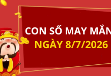 Con số may mắn hôm nay 8/7/2026 theo từng tuổi: Số thu hút tài lộc