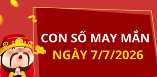 Con số may mắn hôm nay 7/7/2026 theo từng tuổi: Xem số cát giúp bạn đổi vận