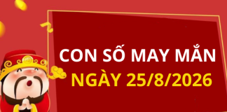 Con số may mắn hôm nay 25/8/2026 theo từng tuổi: Số đem lại cát lành cho gia chủ
