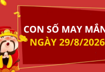 Con số may mắn hôm nay 29/8/2026 theo từng tuổi: Số phát lộc giúp bạn trúng lớn