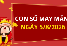 Con số may mắn hôm nay 5/8/2026 theo từng tuổi: Số may mắn giúp bạn phát tài