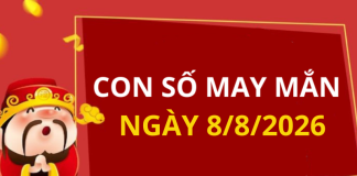 Con số may mắn hôm nay 8/8/2026 theo từng tuổi: Chọn số cát giúp bạn đổi vận