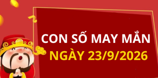 Con số may mắn hôm nay 23/9/2026 theo từng tuổi: Chọn số may mắn cho từng tuổi