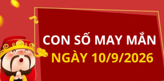 Con số may mắn hôm nay 10/9/2026 theo từng tuổi: Chọn số may giúp bạn trúng ngay