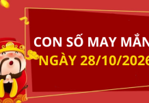 Con số may mắn hôm nay 28/10/2026 theo từng tuổi: Chọn số cát giúp bạn lấy may