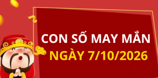 Con số may mắn hôm nay 7/10/2026 theo từng tuổi: Số đắc lộc cho tuổi của bạn