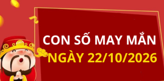 Con số may mắn hôm nay 22/10/2026 theo từng tuổi: Số phát lộc cho bạn đổi vận
